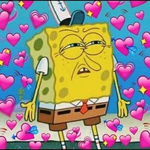 Meet your Posher, Leila